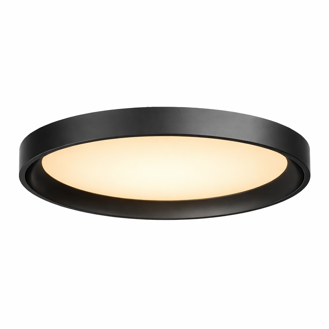 12" UltraLux® 48-51V DC Low-Profile Ceiling Light – Matte Black