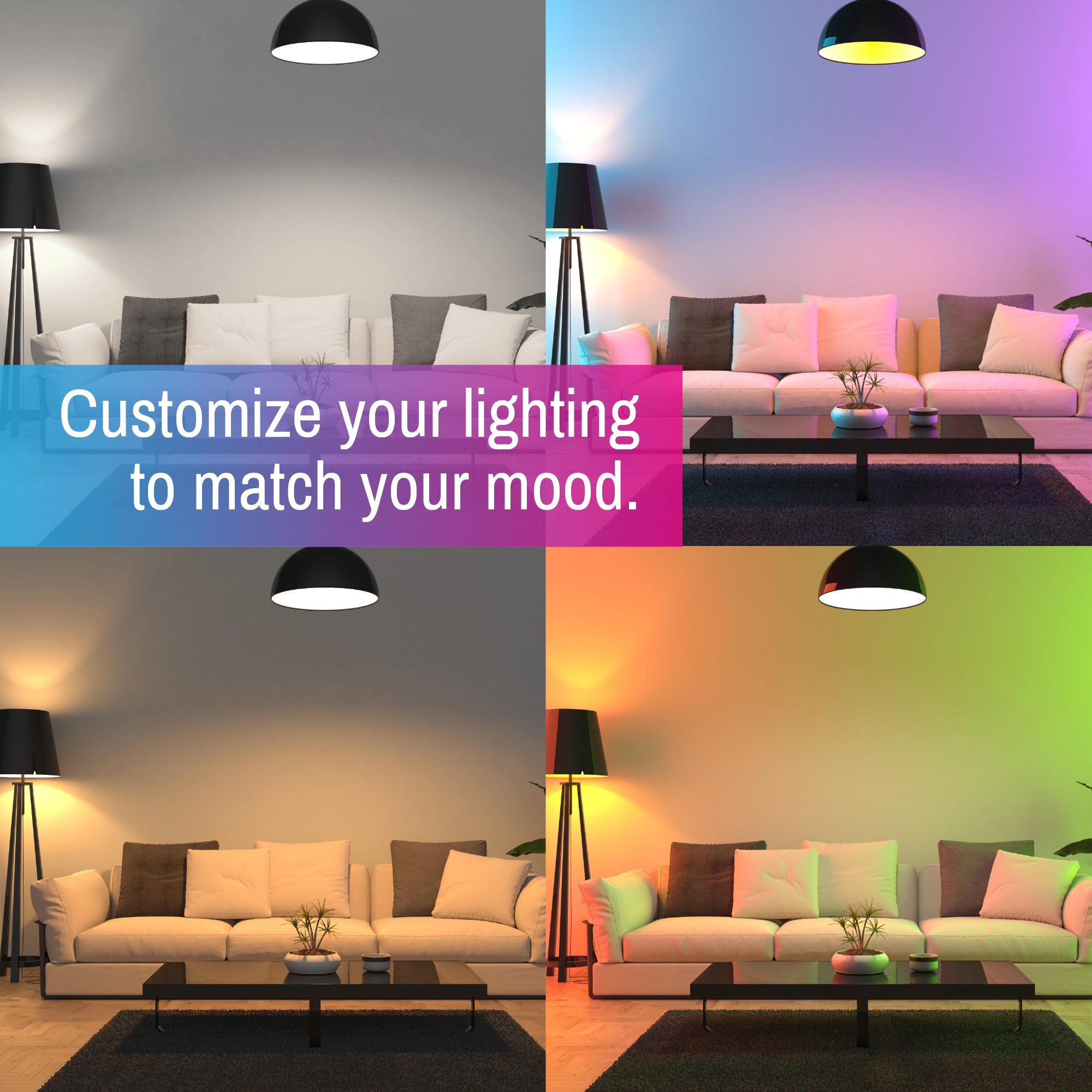 CLEANLIFE® Smart 120VAC A19 RGB + Tunable White LED Light Bulbs 2-Pack with Remote Control