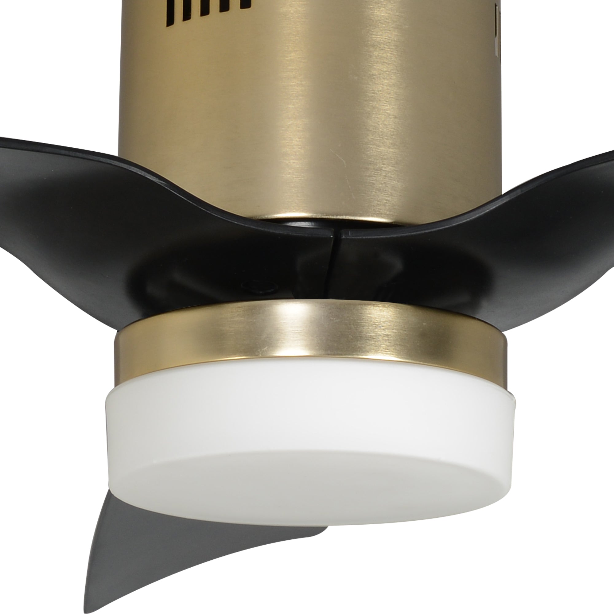 CARRO® SPEZIA 24VDC 3-Blade Flush Mount Smart Ceiling Fan with LED Light Kit & Remote – Brushed Gold / Matte Black