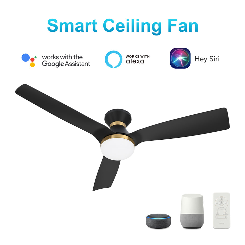 CARRO® SPEZIA 24VDC 3-Blade Flush Mount Smart Ceiling Fan with LED Light Kit & Remote – Matte Black / Brushed Gold