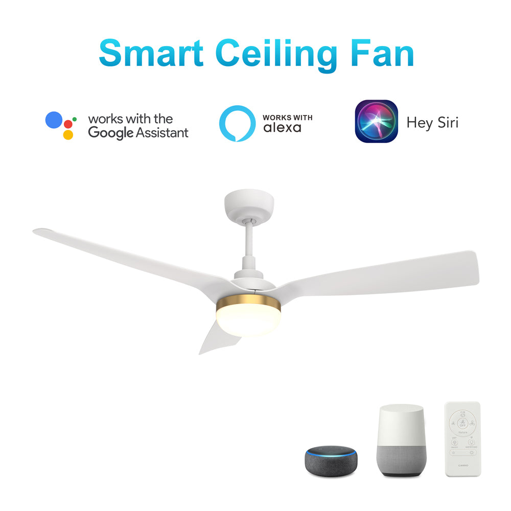 CARRO® SPEZIA 24VDC 3-Blade Smart Ceiling Fan with LED Light Kit & Remote – Matte White / Brushed Gold