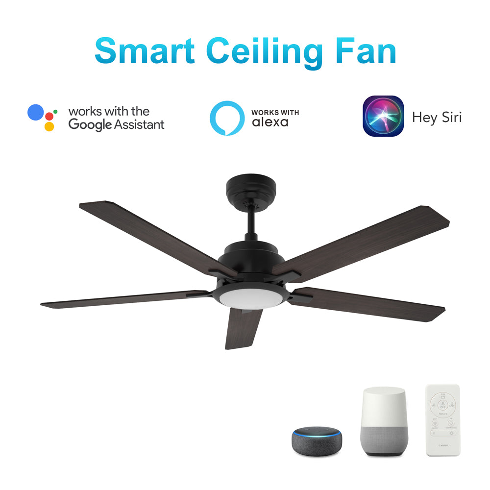 CARRO® ESPEAR 24VDC 5-Blade Smart Ceiling Fan with LED Light Kit & Remote – Matte Black/Dark Walnut