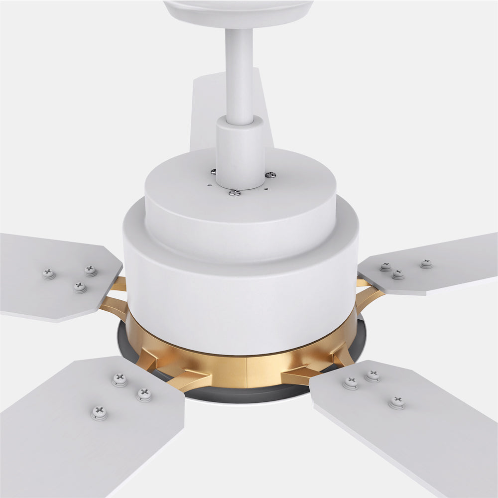 CARRO® ESPEAR 24VDC 5-Blade Smart Ceiling Fan with LED Light Kit & Remote – Matte White / Brushed Gold