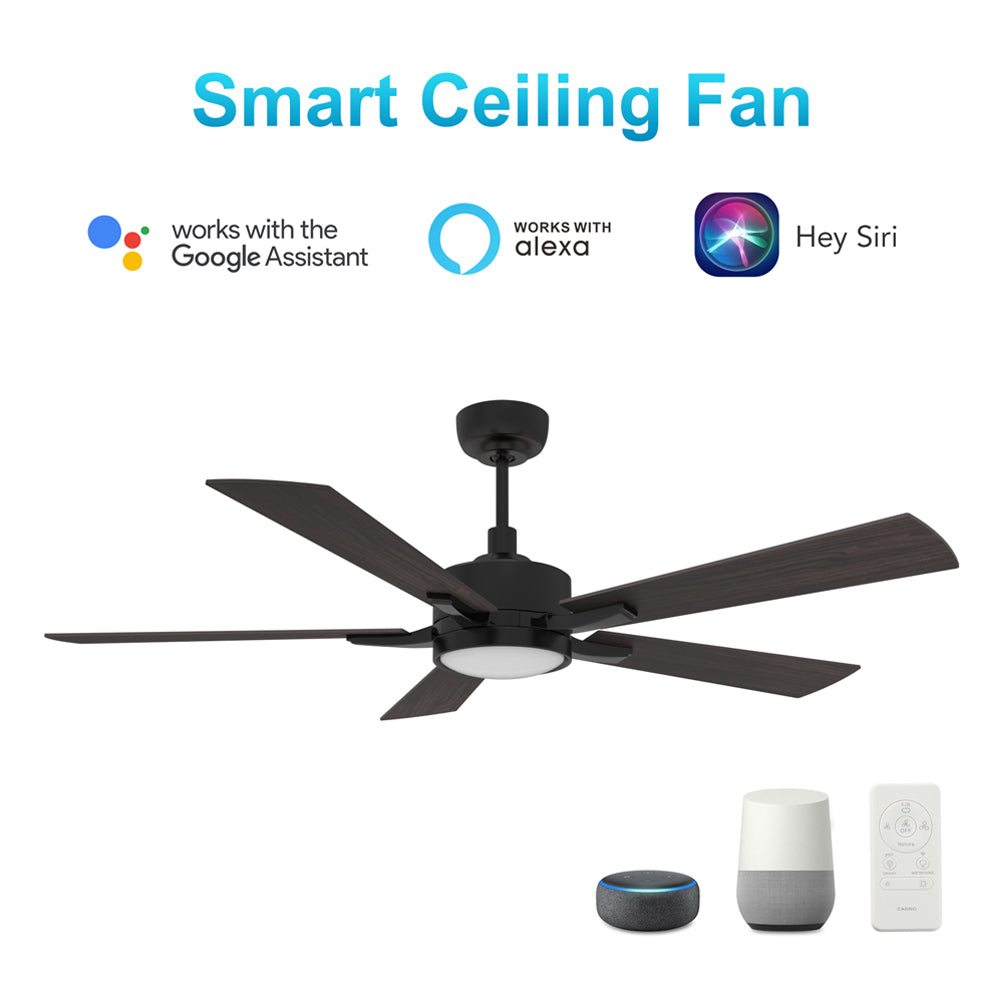 CARRO® APPLETON 24VDC 5-Blade Smart Ceiling Fan with LED Light Kit & Remote – Matte Black / Cherrywood