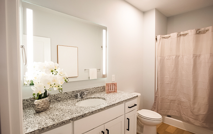 Majestic Argyle 48VDC Backlit LED Mirror