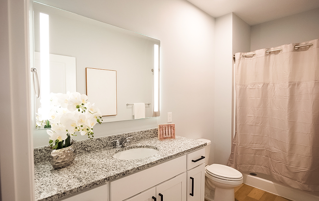 Majestic Argyle 48VDC Backlit LED Mirror