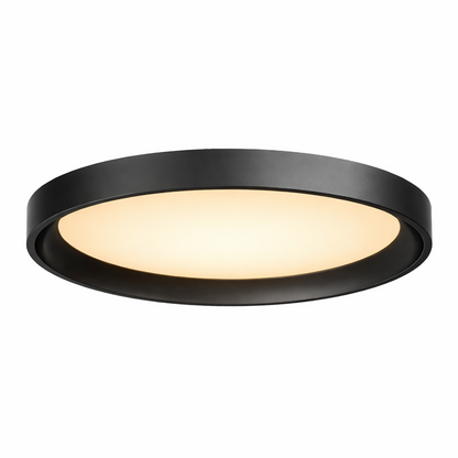 12" UltraLux® 48-51V DC Low-Profile Ceiling Light – Matte White