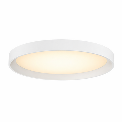 12" UltraLux® 48-51V DC Low-Profile Ceiling Light – Matte White