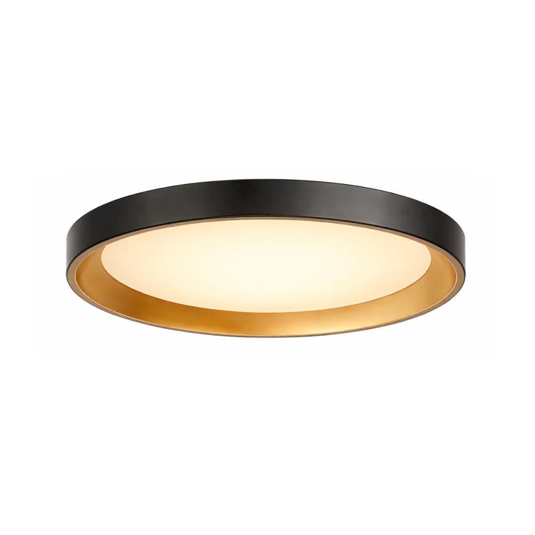 12" UltraLux® 48-51V DC Dual Tone Ceiling Light – Matte White / Brushed Gold