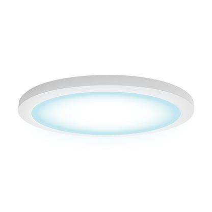 CLEANLIFE® 12" Edgelit LED Round Panel Light