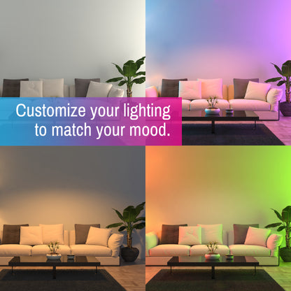 CLEANLIFE® Smart LED Downlights 2-Pack with Smart Remote Control Bundle