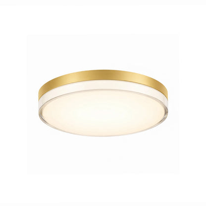 11" UltraLux® 48-51V DC Clear Acrylic Ceiling Light