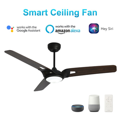 CARRO® HOFFEN 24VDC 3-Blade Smart Ceiling Fan with LED Light Kit & Remote – Matte Black *Free Shipping*