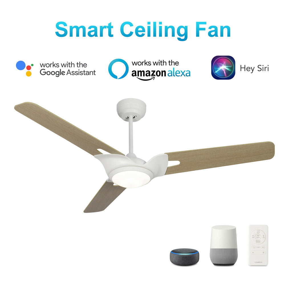 CARRO® HOFFEN 24VDC 3-Blade Smart Ceiling Fan with LED Light Kit & Remote – Matte White / Light Chestnut
