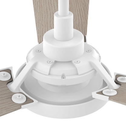 CARRO® BRISA 24VDC 3-Blade Smart Ceiling Fan with LED Light Kit & Remote – Matte White / Light Wood