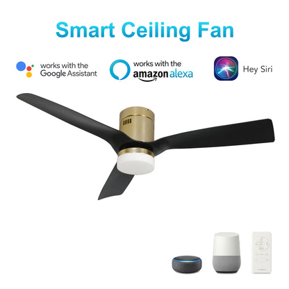 CARRO® SPEZIA 24VDC 3-Blade Smart Ceiling Fan with LED Light Kit & Remote – Brushed Gold / Matte Black *Free Shipping*