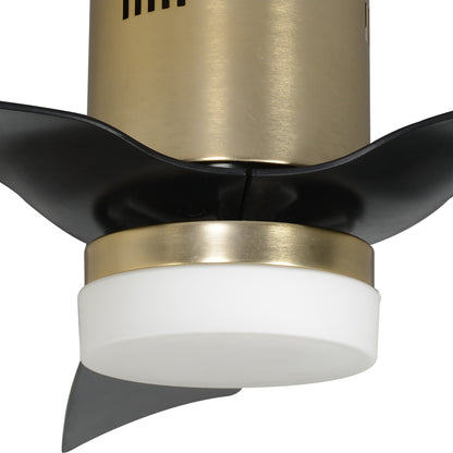 CARRO® SPEZIA 24VDC 3-Blade Smart Ceiling Fan with LED Light Kit & Remote – Brushed Gold / Matte Black *Free Shipping*
