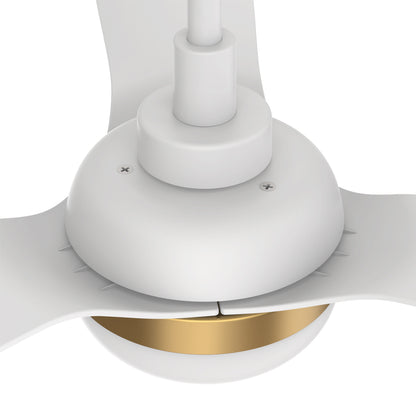 CARRO® SPEZIA 24VDC 3-Blade Smart Ceiling Fan with LED Light Kit & Remote – Matte White / Brushed Gold