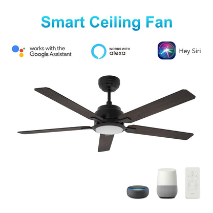 CARRO® ESPEAR 24VDC 5-Blade Smart Ceiling Fan with LED Light Kit & Remote – Matte Black/Dark Walnut