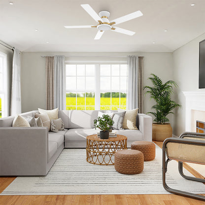 CARRO® ESPEAR 24VDC 5-Blade Smart Ceiling Fan with LED Light Kit & Remote – Matte White / Brushed Gold