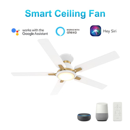 CARRO® ESPEAR 24VDC 5-Blade Smart Ceiling Fan with LED Light Kit & Remote – Matte White / Brushed Gold *Free Shipping*