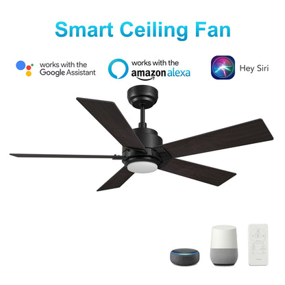 CARRO® ASCENDER 24VDC 5-Blade Smart Ceiling Fan with LED Light Kit & Remote – Matte Black / Weathered Walnut Reversible Blades