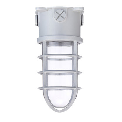 jelly jar light fixture on white background