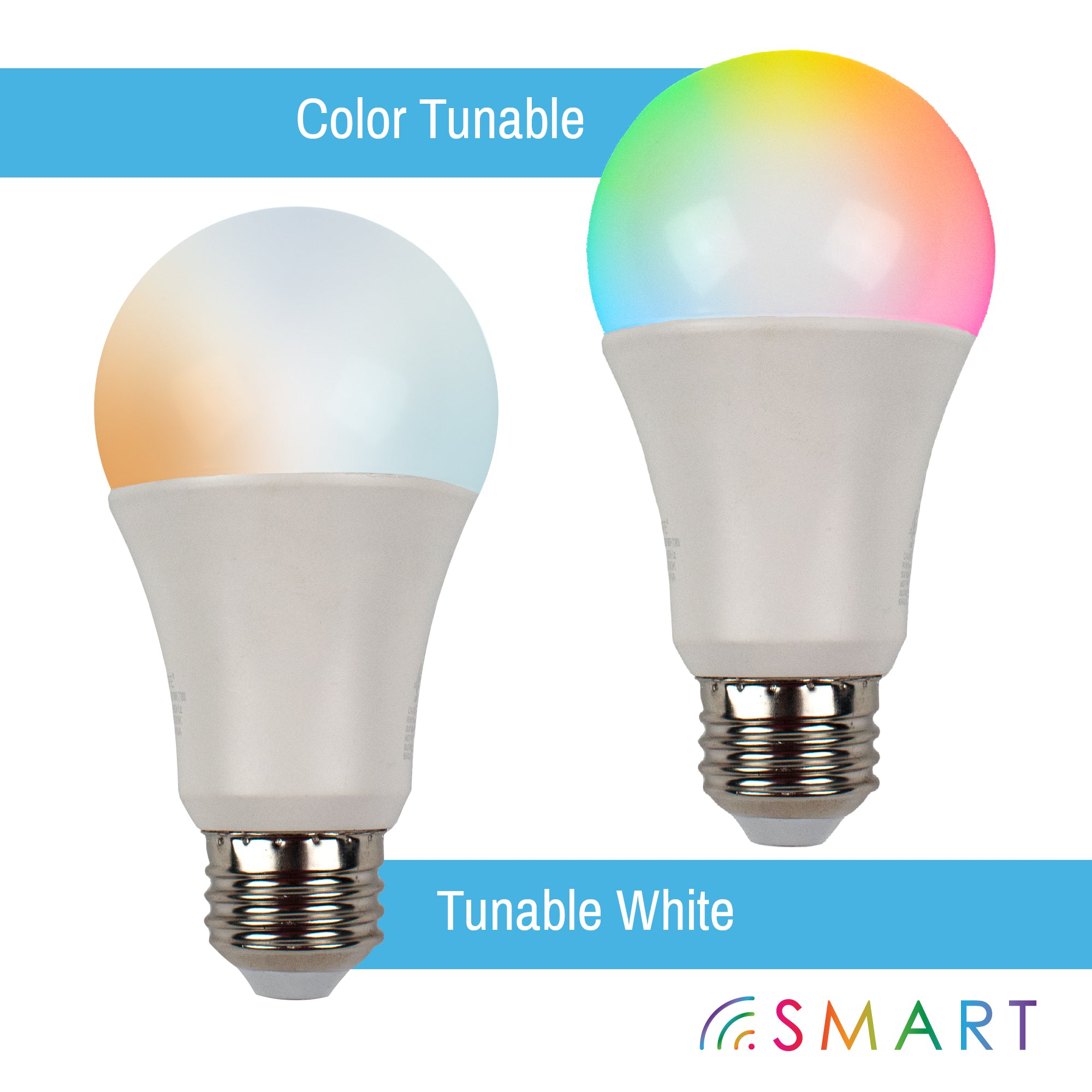 a19 bulb colored light bulbs on white background