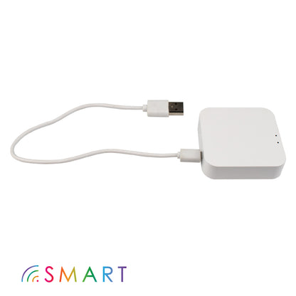 smart bluetooth mesh hub with USB cord on white background
